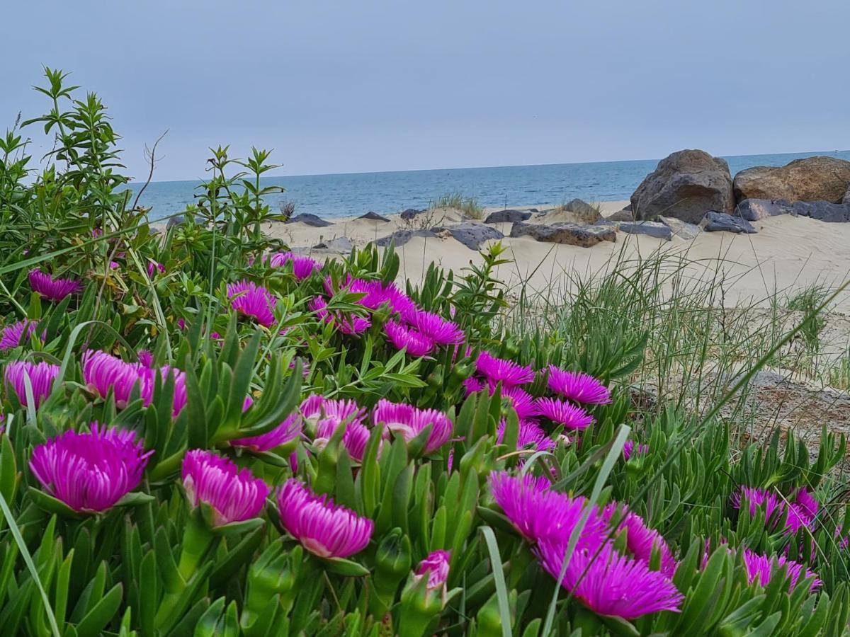 Camping Les Sables D'Or Cap D'Agde Le Grau-dʼAgde 외부 사진